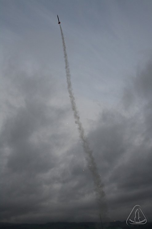 2013 Svojek Mirek Topinka